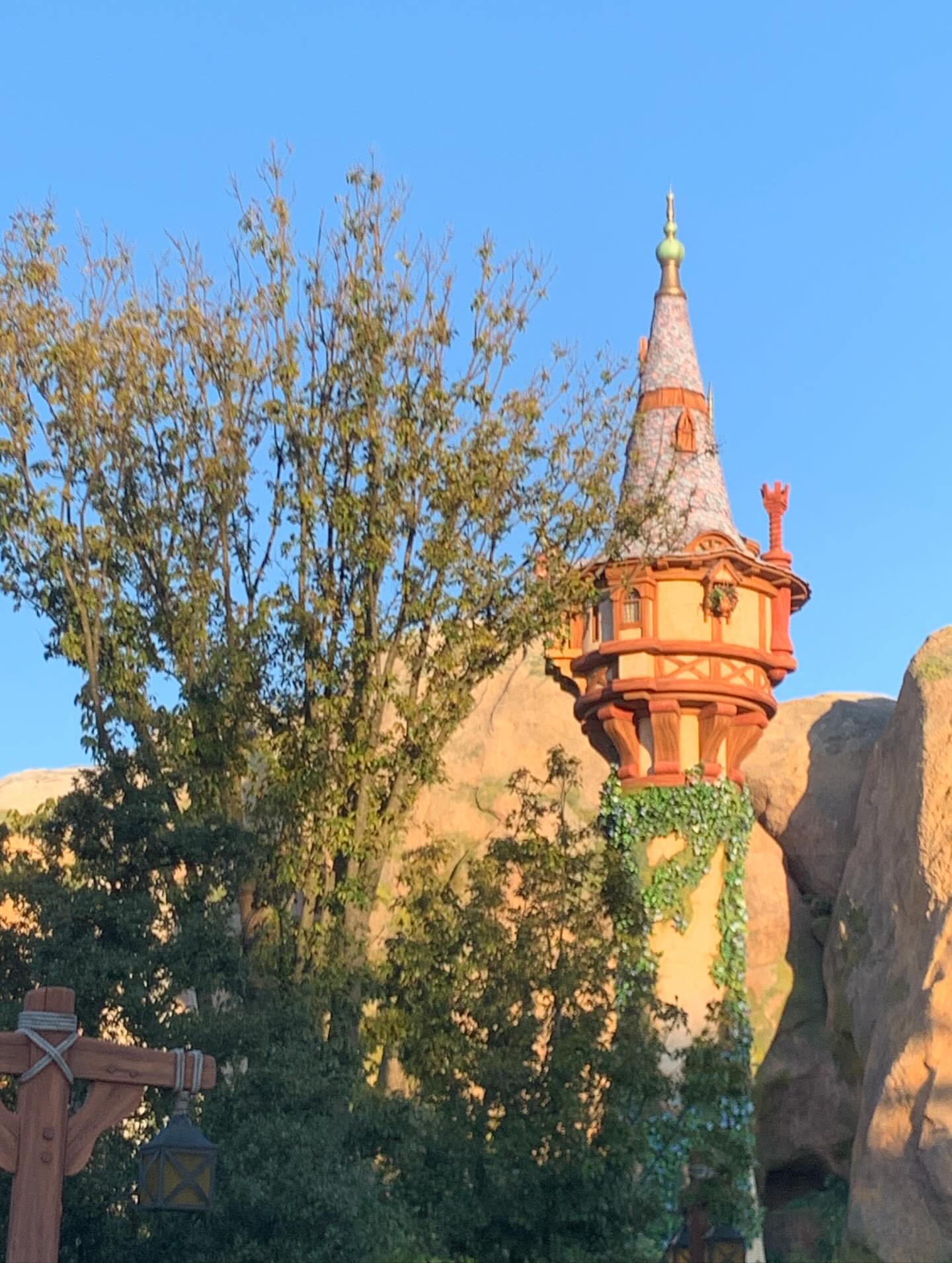 Cover Image of the Post